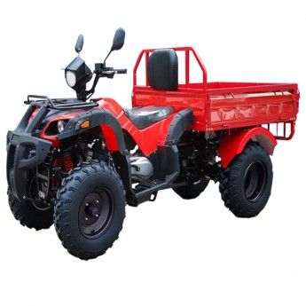 농업용 화물 ATV 200cc 2륜(후륜)구동 /농업 화물 과수원용