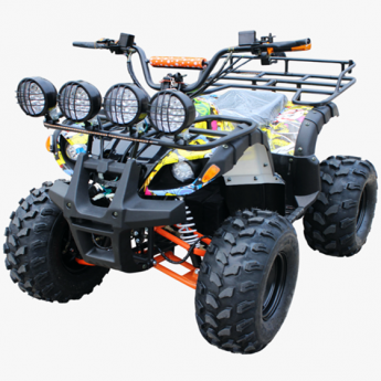 충전식 미닉스 전동 ATV 2륜 구동 EV750W/2WD (48V/20Ah)